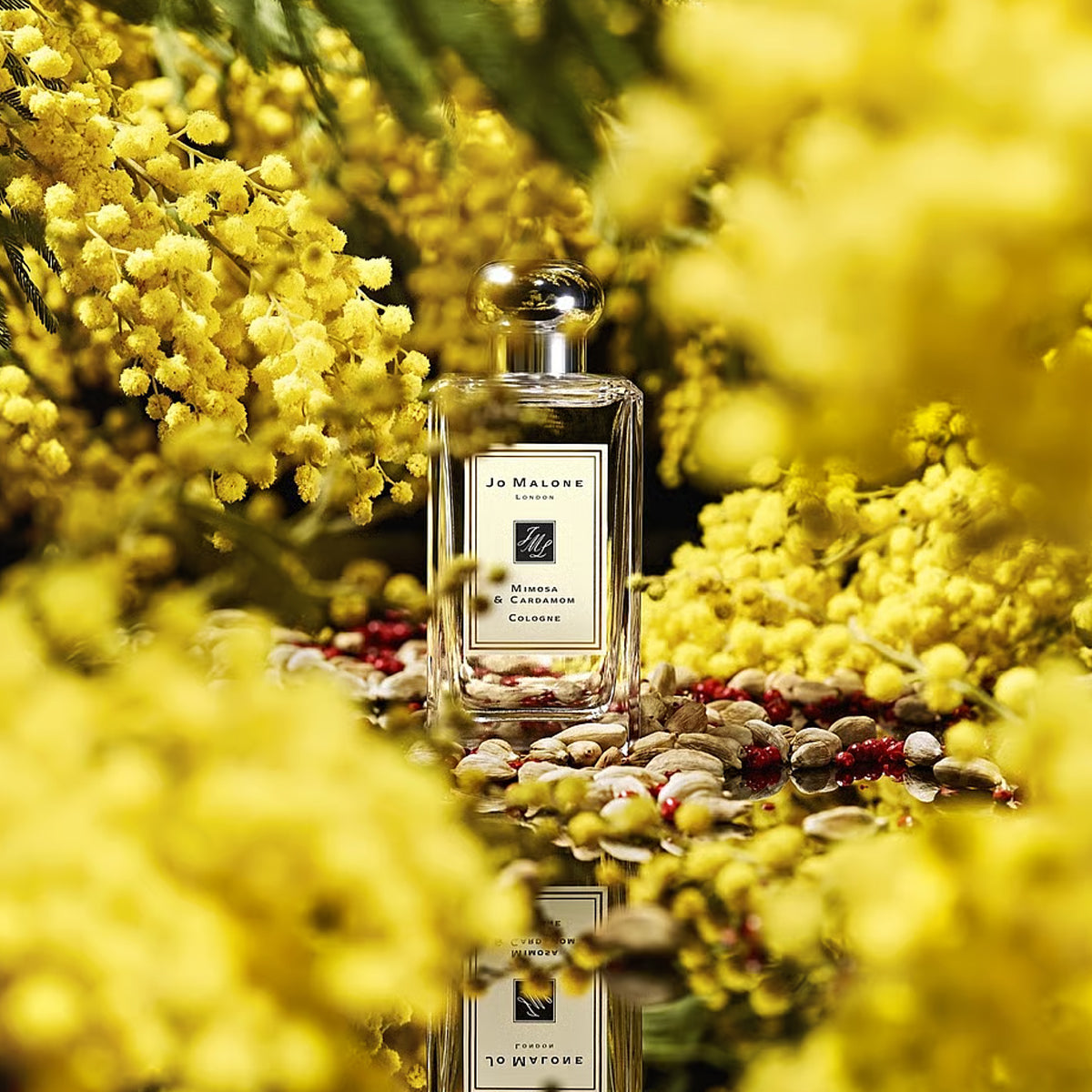 Jo Malone Mimosa &amp; Cardamom EdC