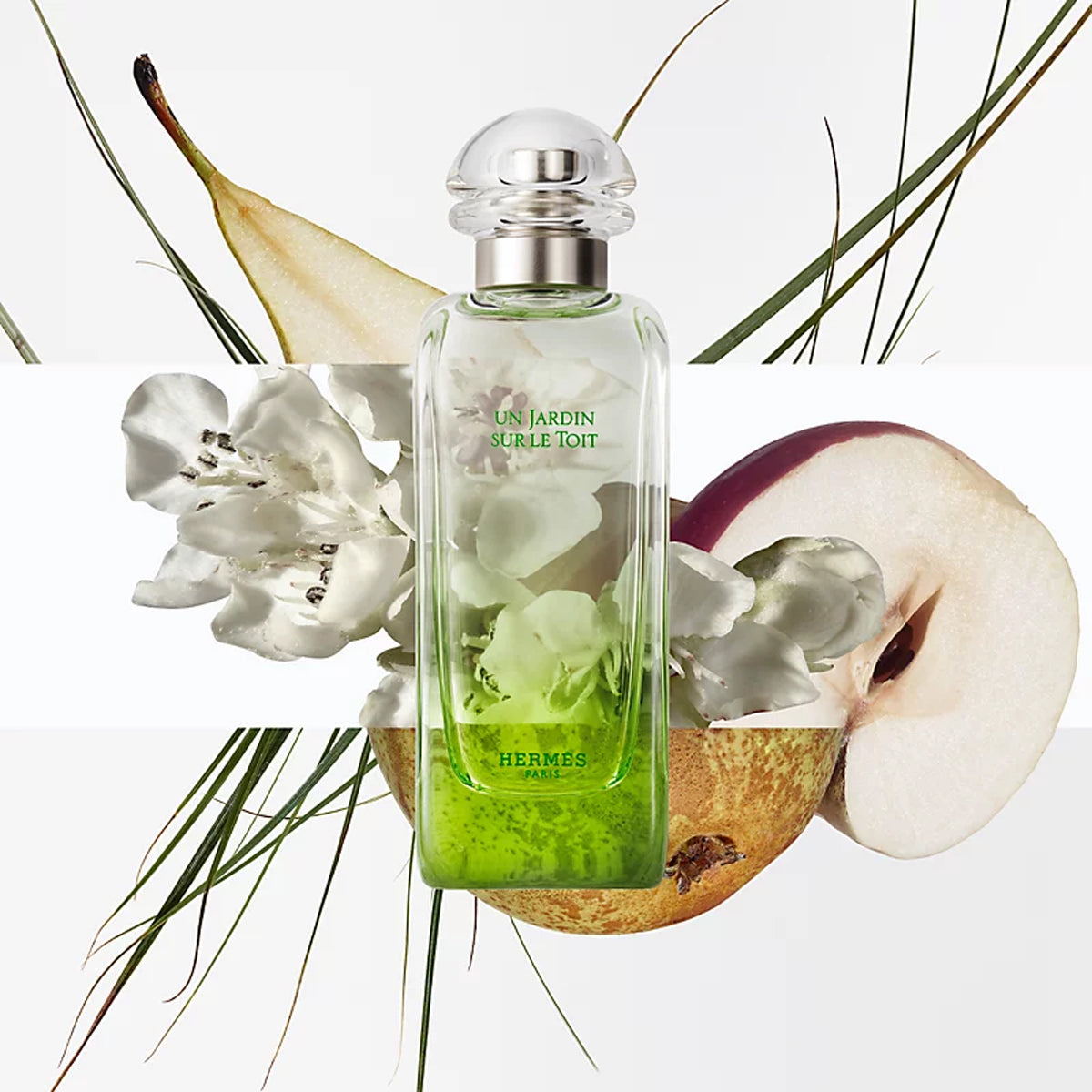 Hermès Un Jardin sur le Toit EdT