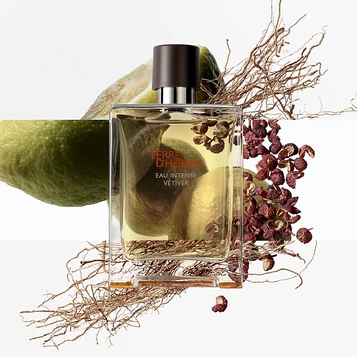 Hermès Terre d&