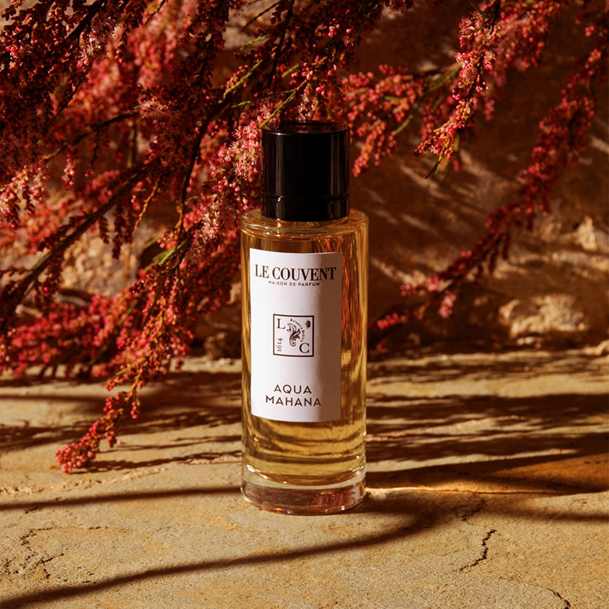 Le Couvent des Minimes Aqua Mahana EdT