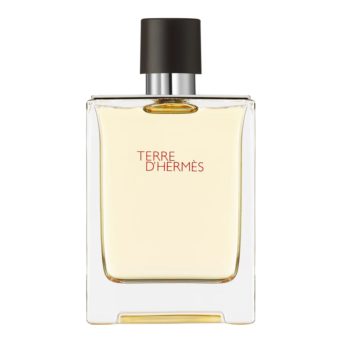 Hermès Terre d&