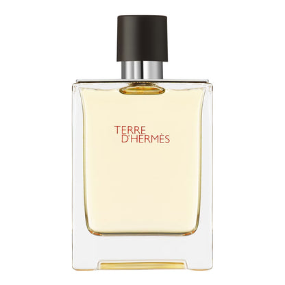 Hermès Terre d&