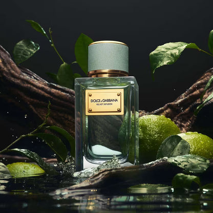 Dolce &amp; Gabbana Velvet Infusion EdP