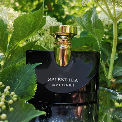 Bvlgari Splendida Jasmin Noir EdP