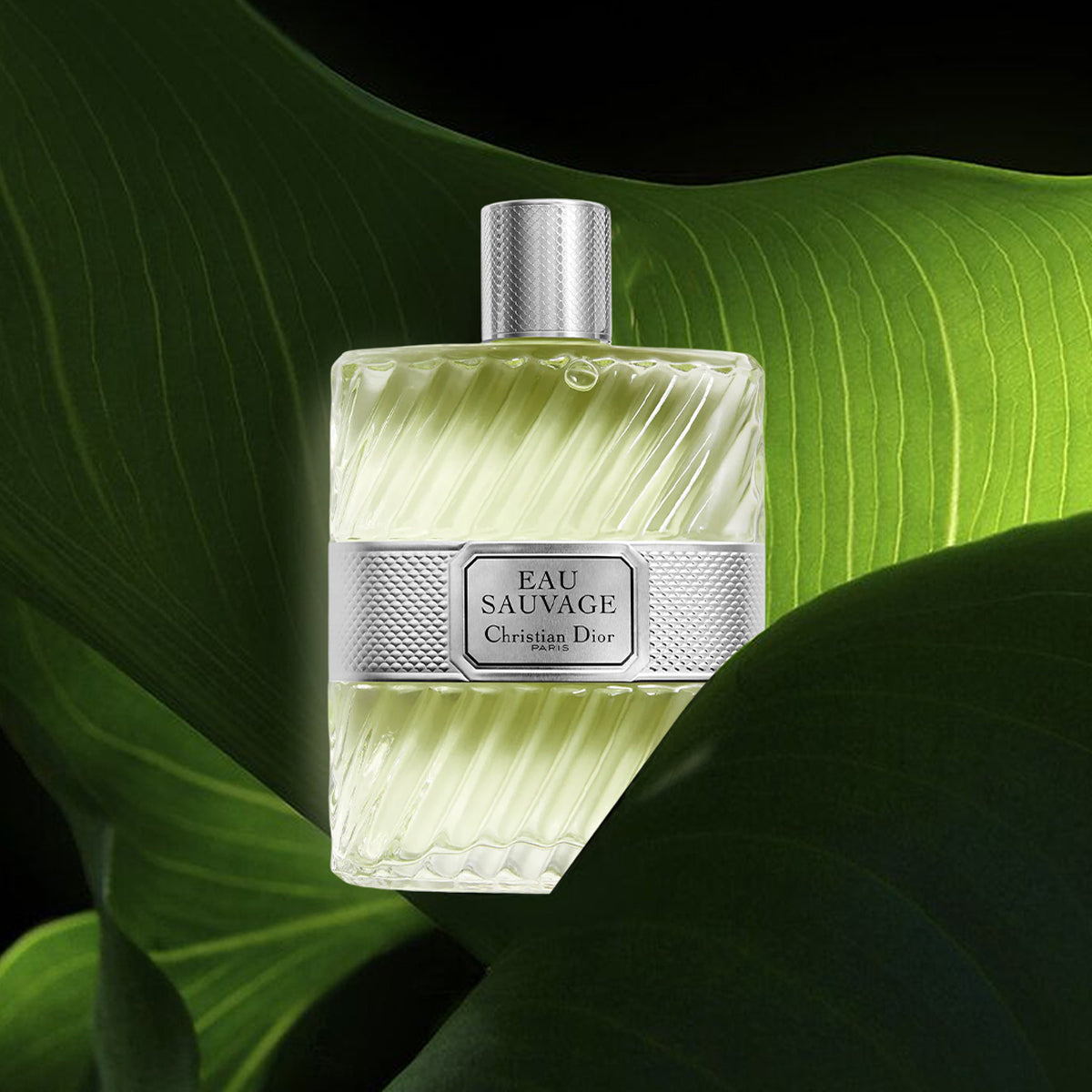 Dior Eau Sauvage EdT