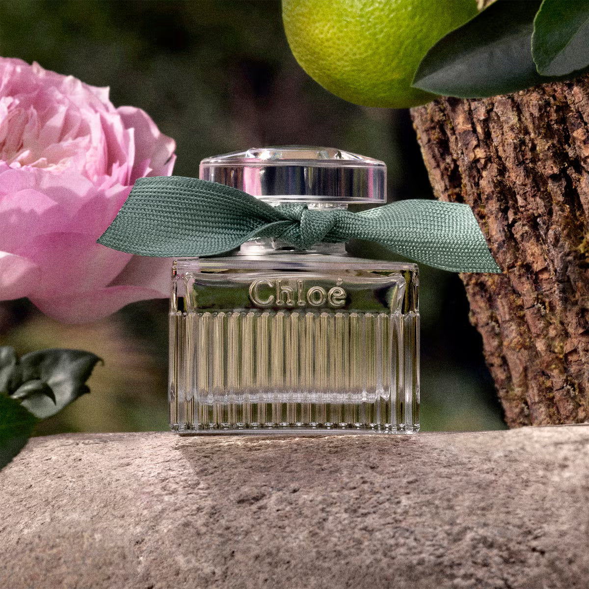 Chloé Rose Naturelle EdP