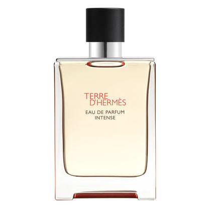 Hermès Terre d&