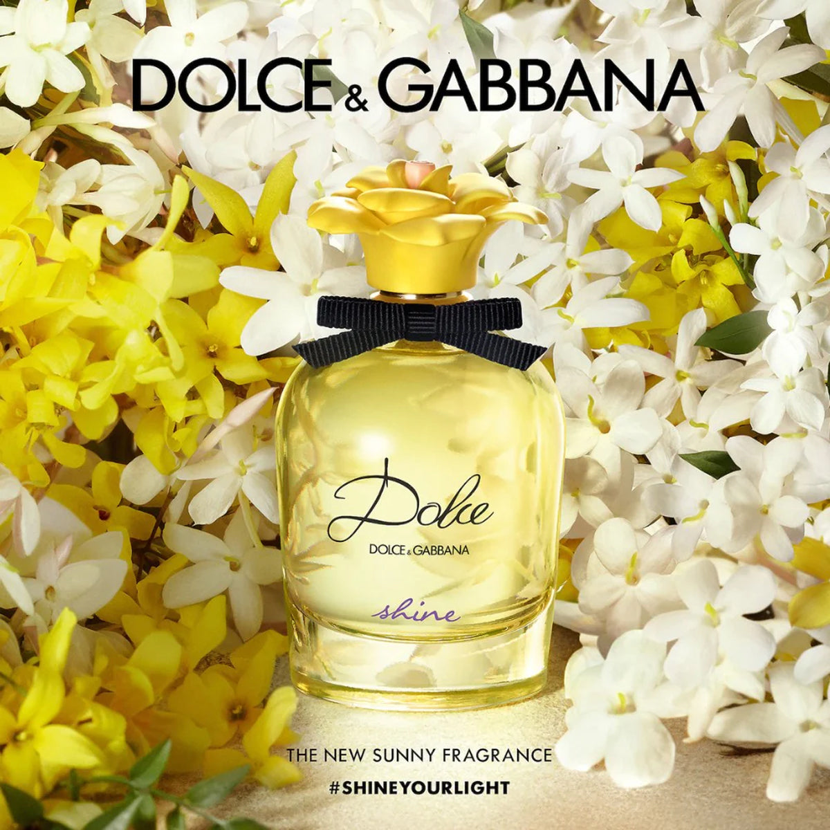 Dolce &amp; Gabbana Shine EdP
