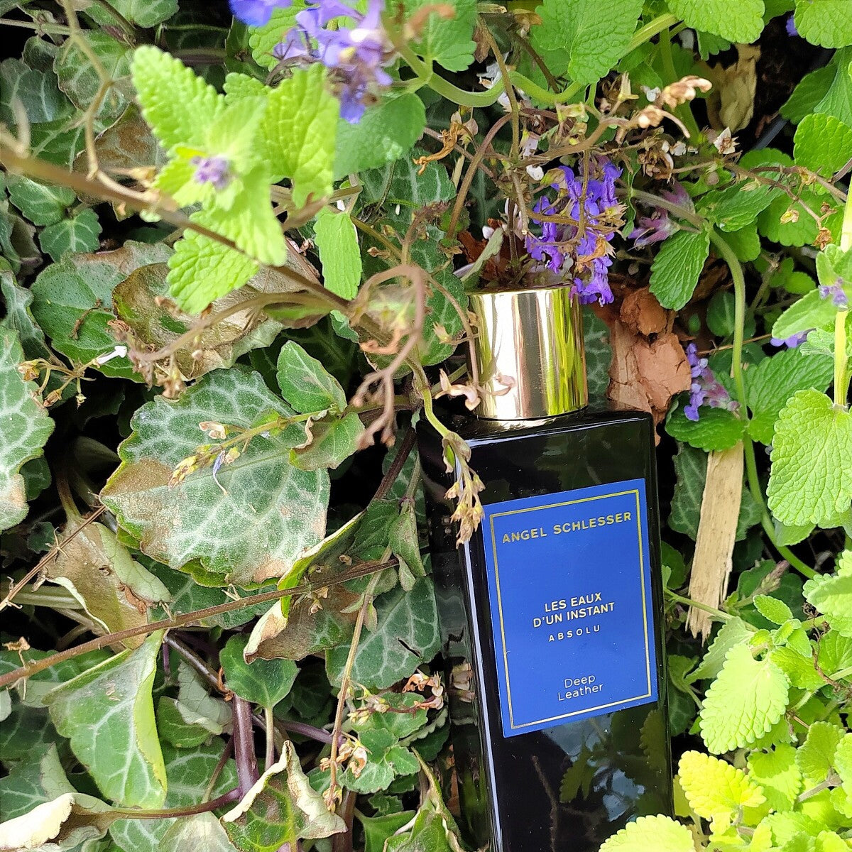 Angel Schlesser Deep Leather EdP