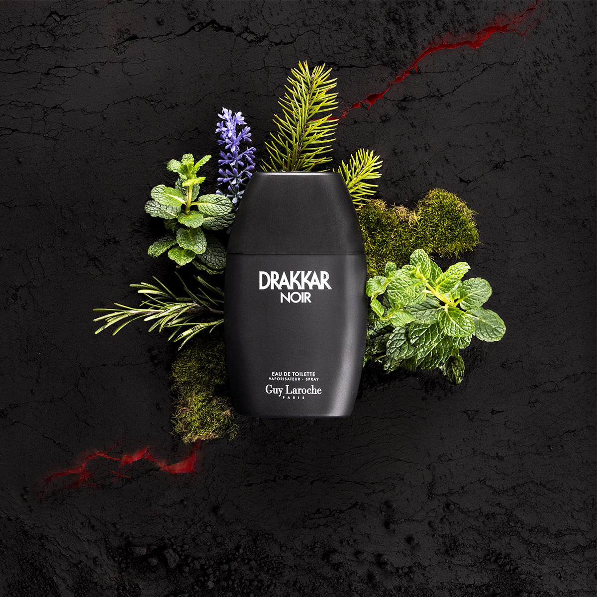 Guy Laroche Drakkar Noir EdT
