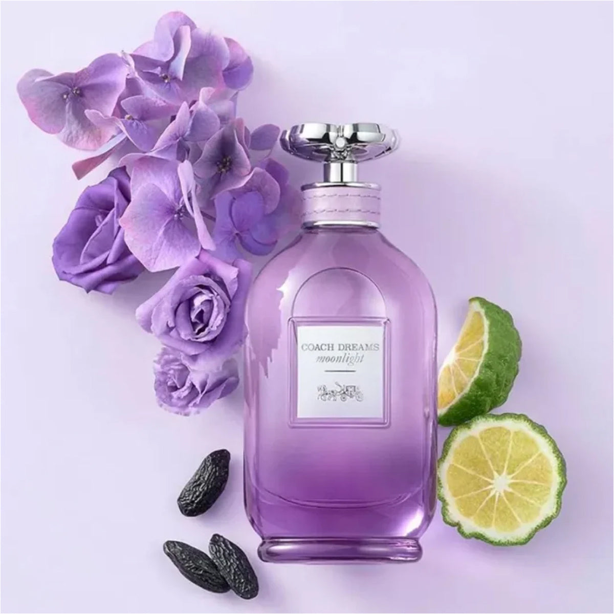 Coach Dreams Moonlight EdP