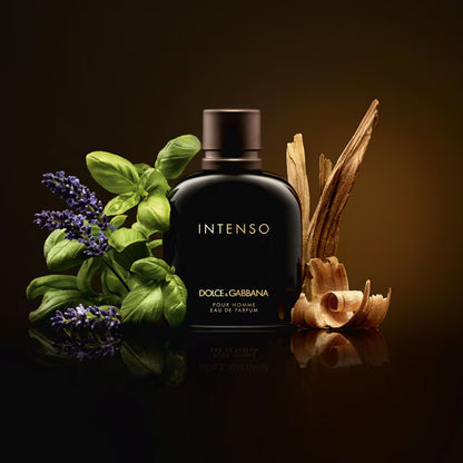 Dolce &amp; Gabbana Intenso Pour Homme EdP