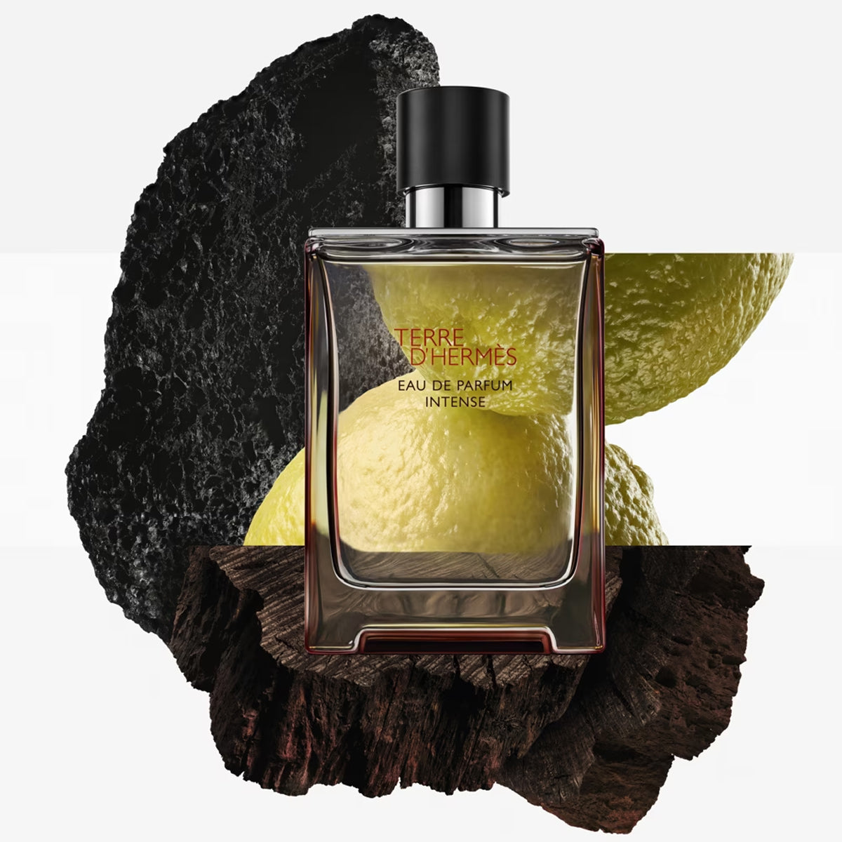 Hermès Terre d&