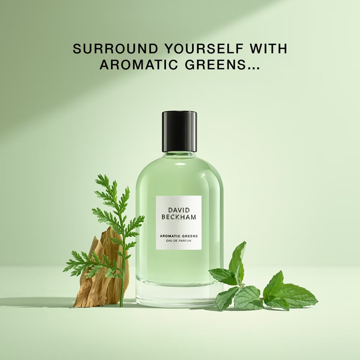David Beckham Aromatic Greens EdP