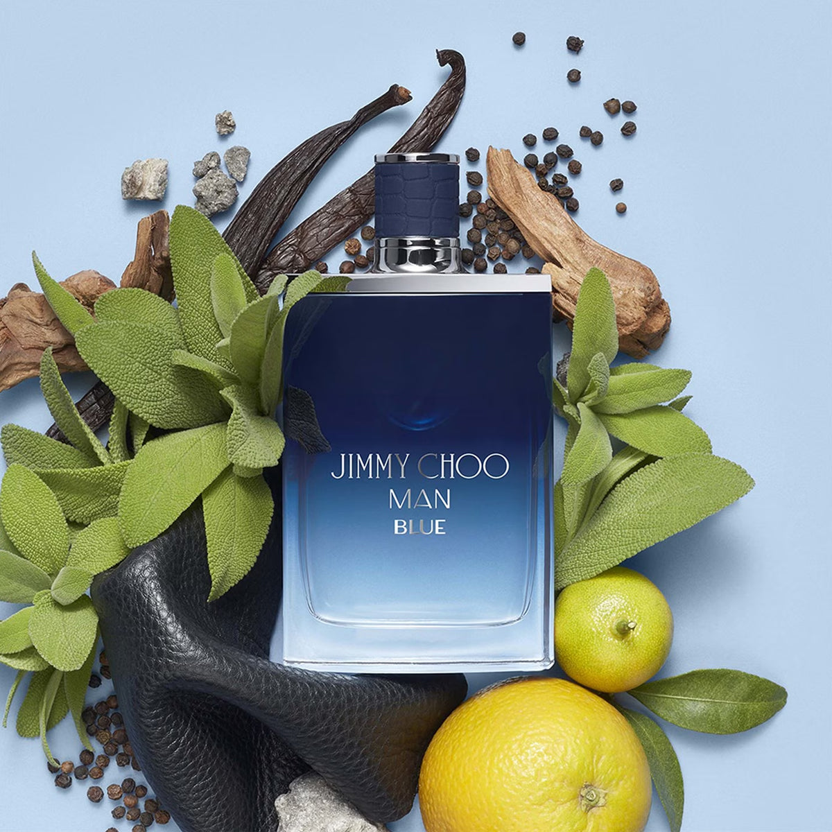 Jimmy Choo Man Blue EdT