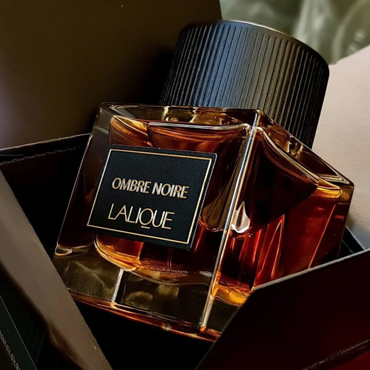 Lalique Ombre Noire EdP