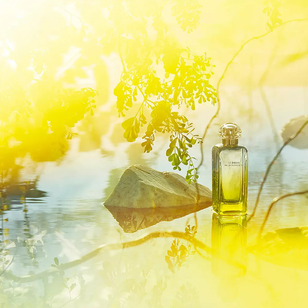 Hermès Le Jardin de Monsieur Li EdT