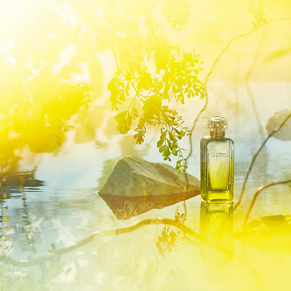 Hermès Le Jardin de Monsieur Li EdT