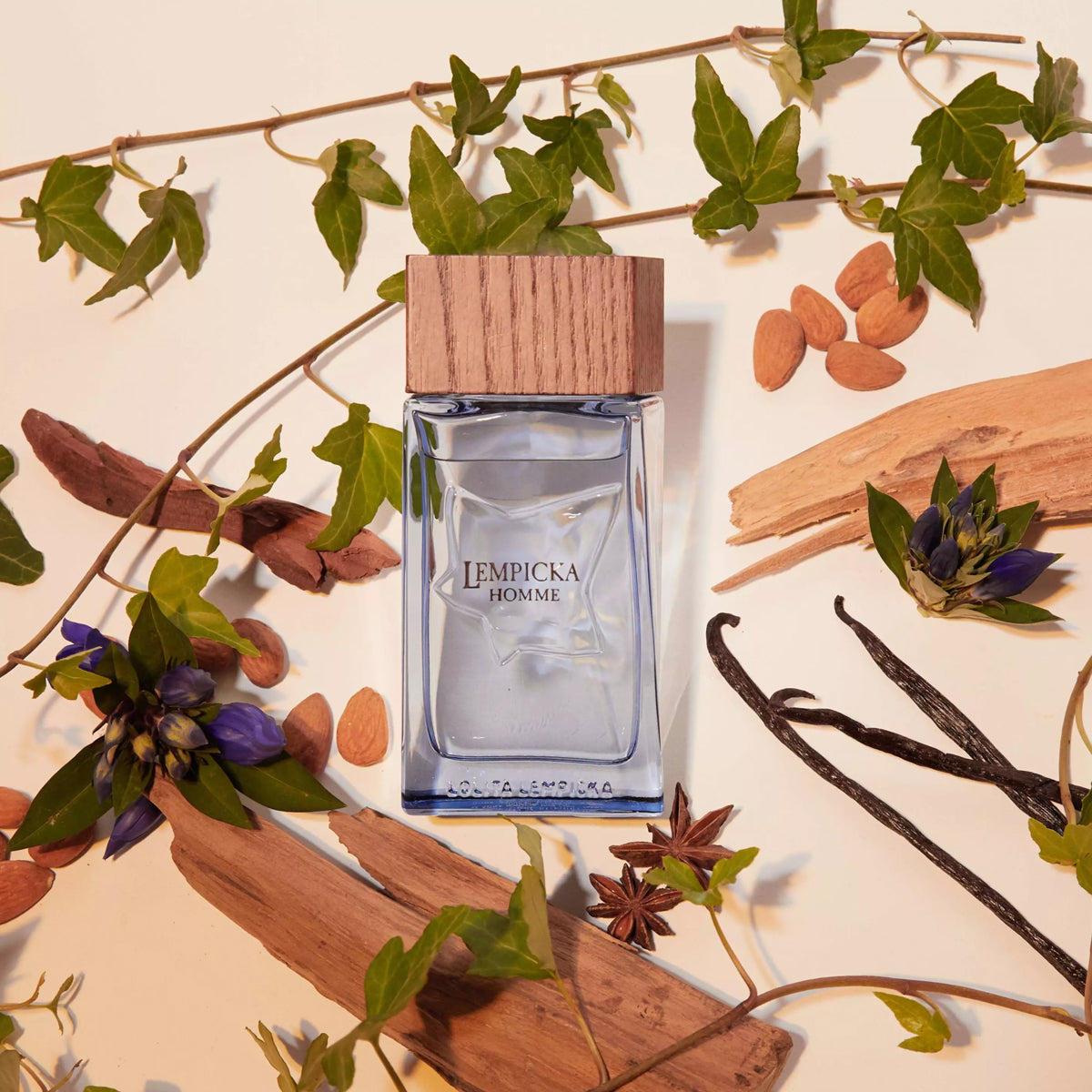 Lolita Lempicka Homme EdT