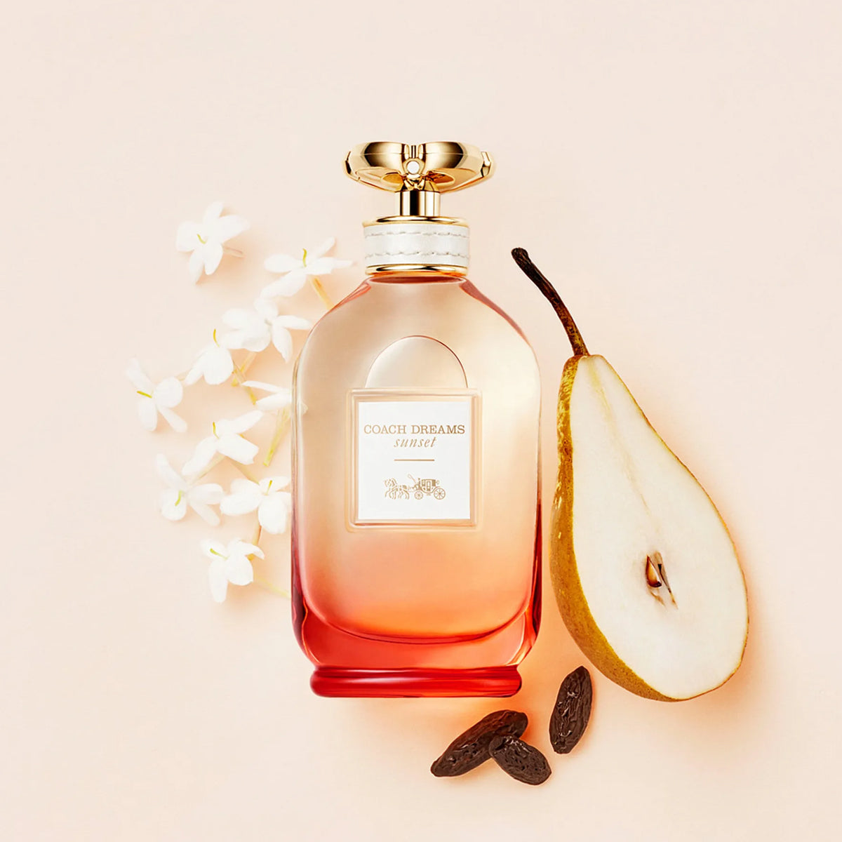 Coach Dreams Sunset EdP