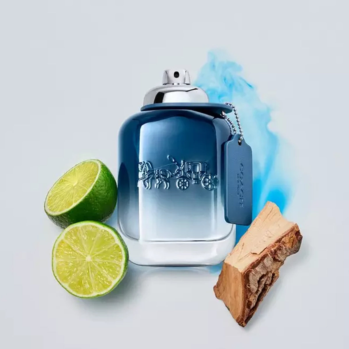 Coach Blue EdT
