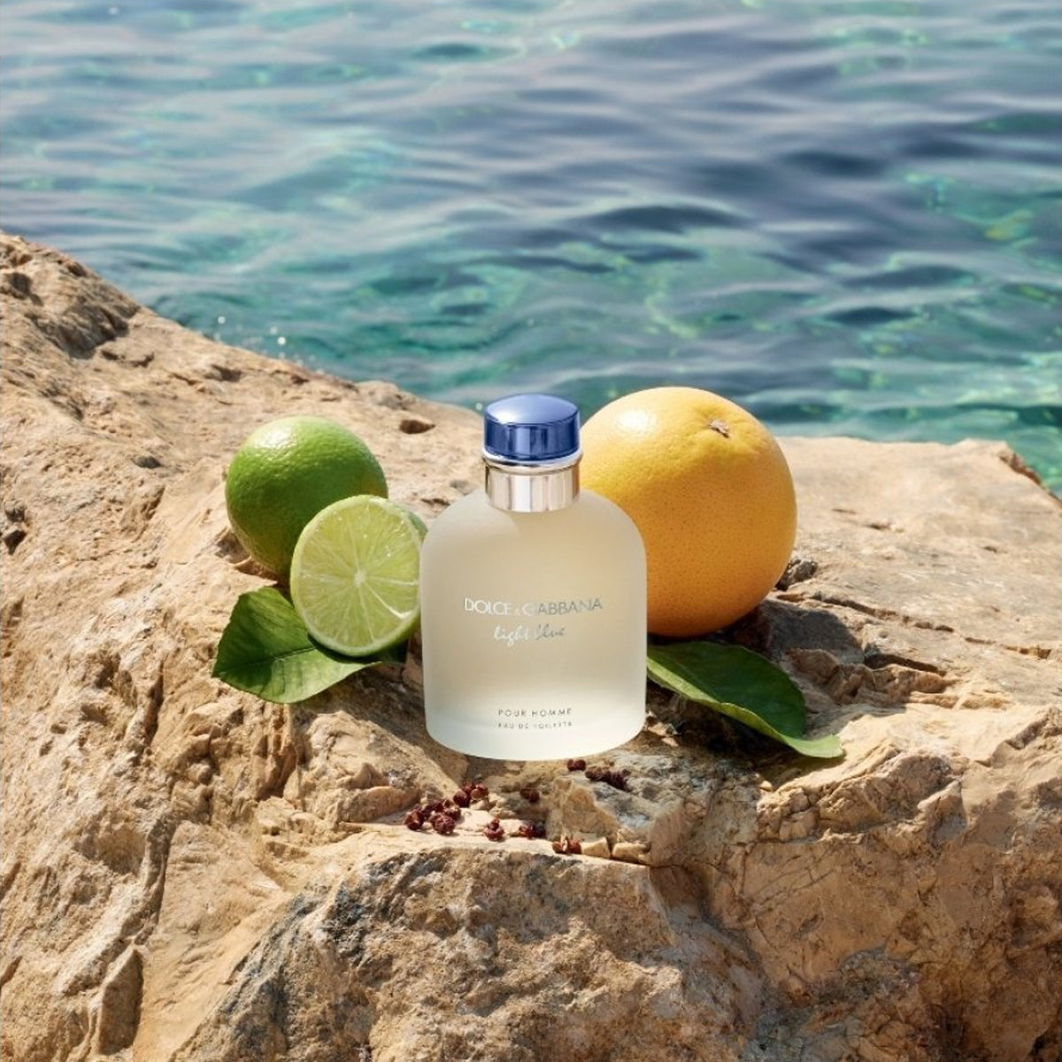 Dolce &amp; Gabbana Light Blue Pour Homme EdT