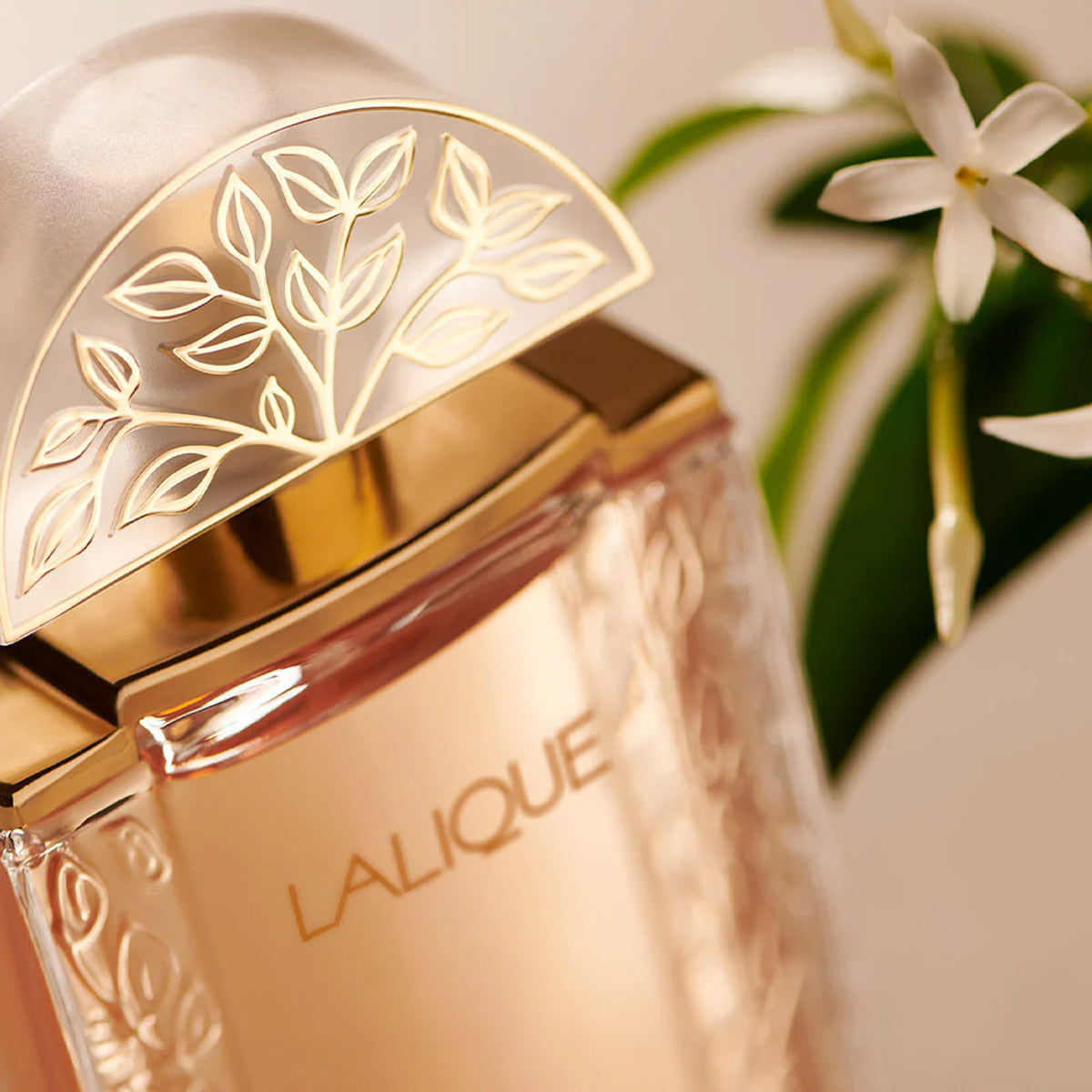 Lalique de Lalique EdP