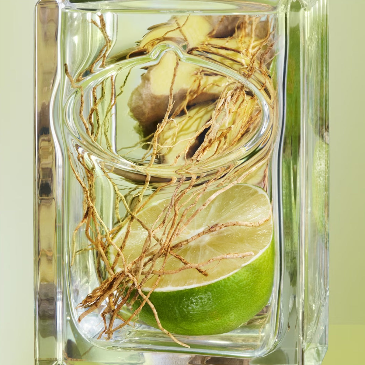 Prada Infusion De Vetiver EdP