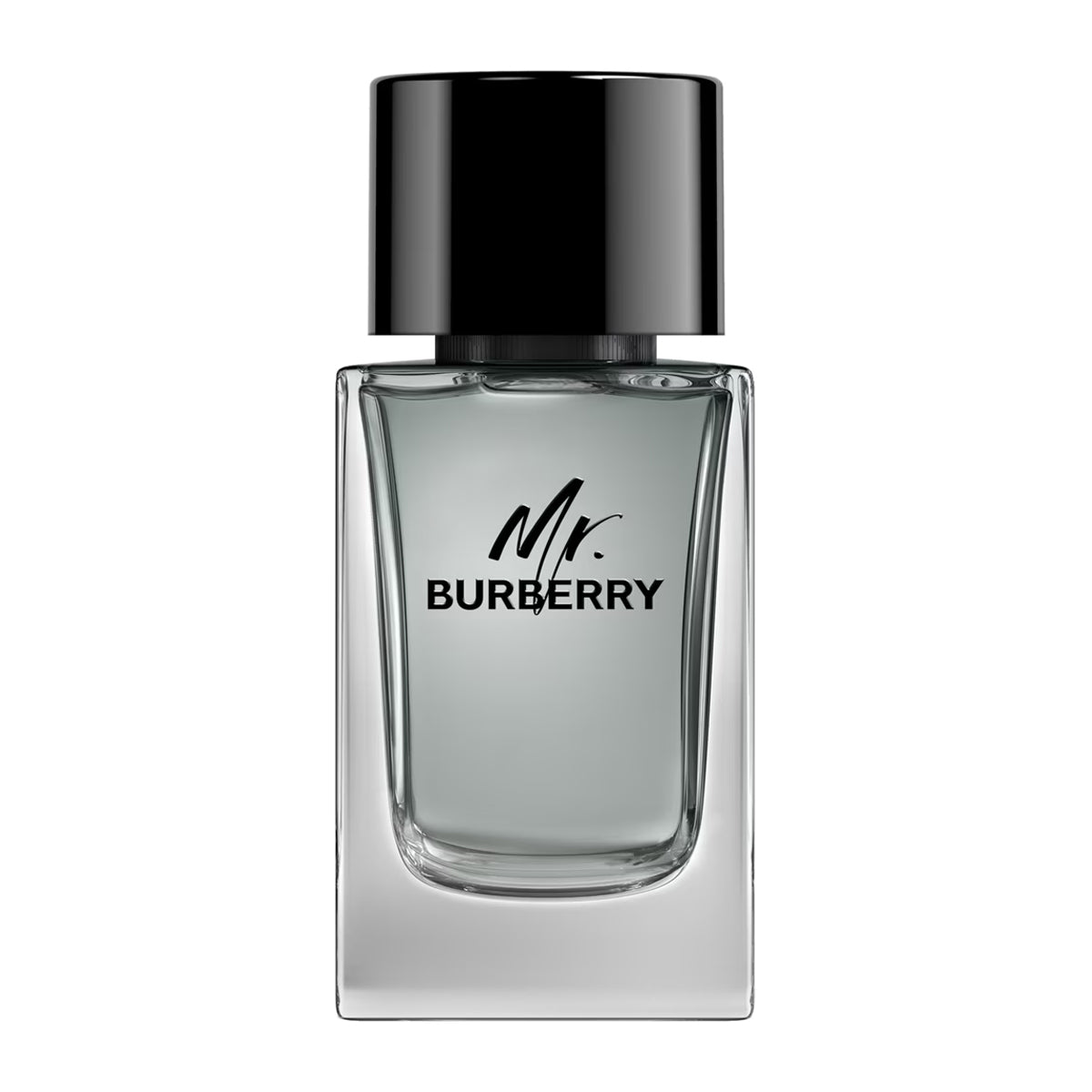 Burberry Mr. Burberry EdT