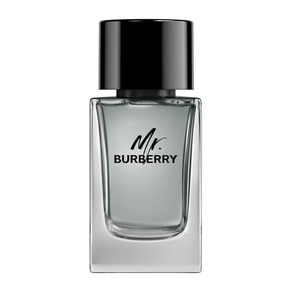 Burberry Mr. Burberry EdT