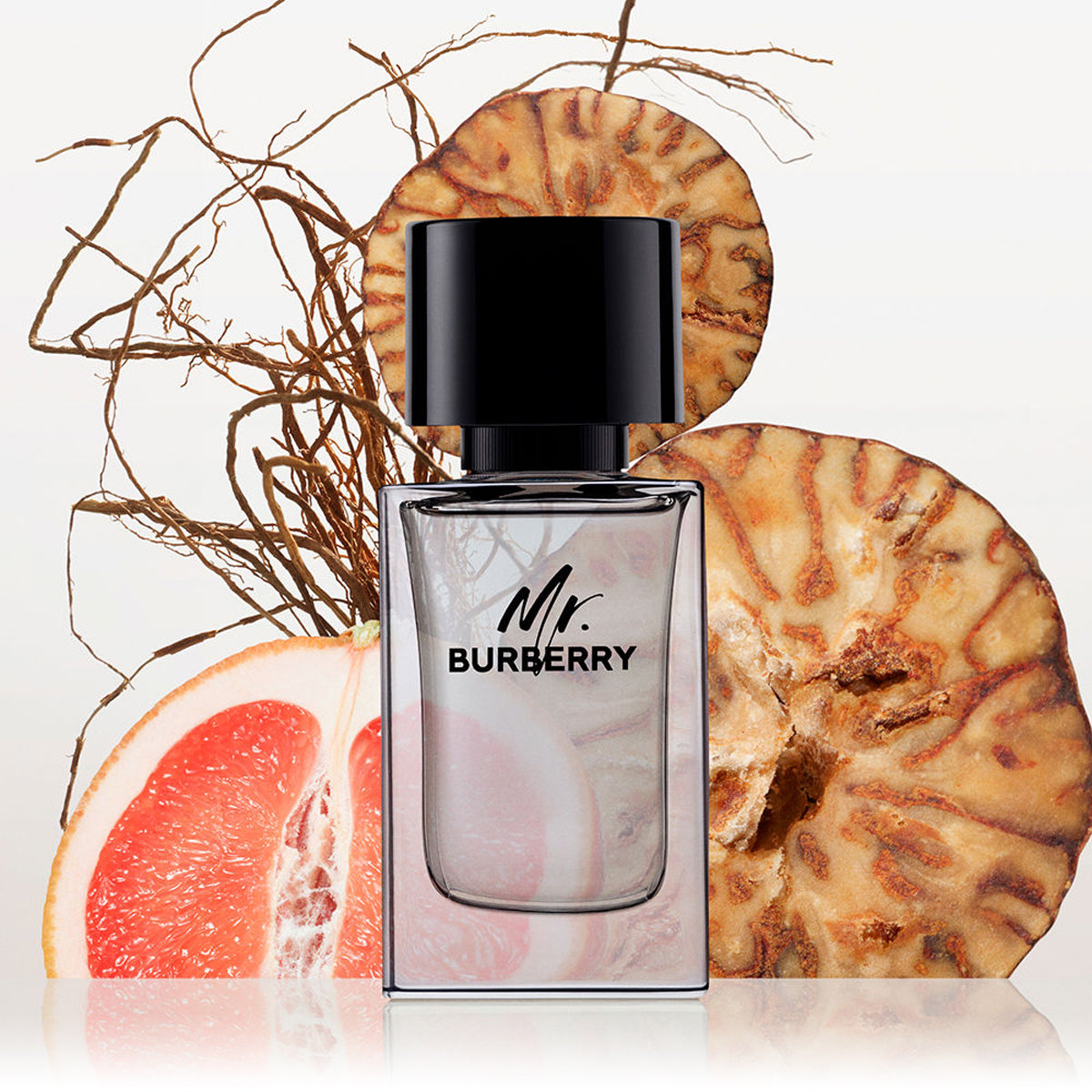 Burberry Mr. Burberry EdT