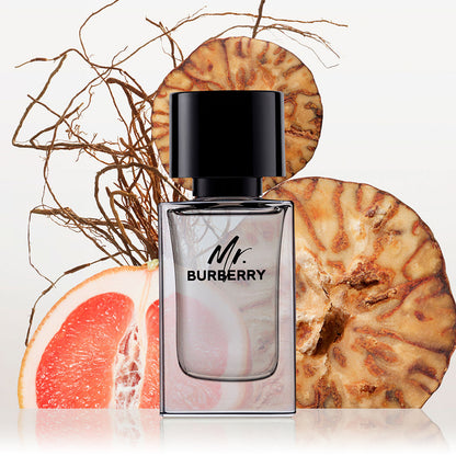 Burberry Mr. Burberry EdT