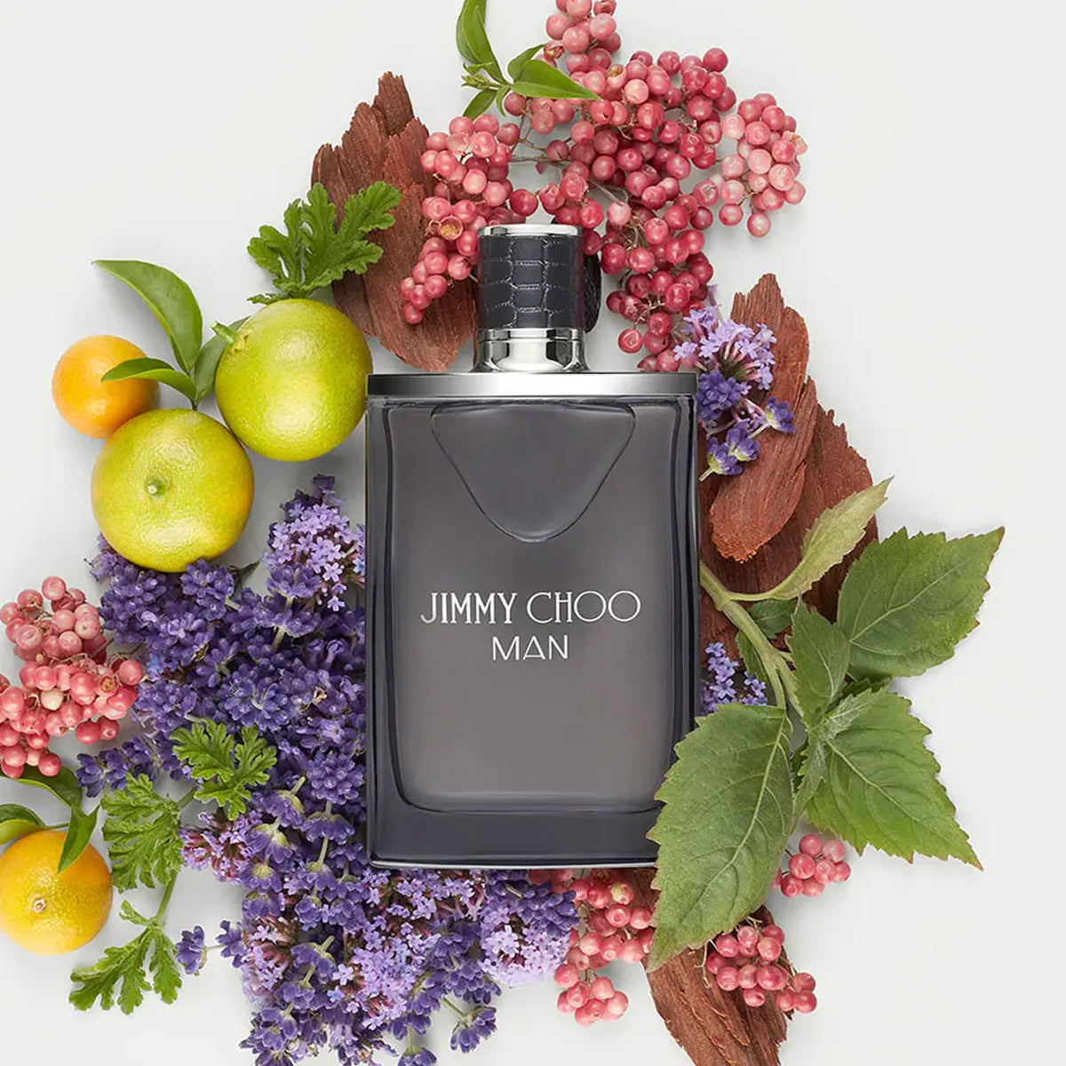 Jimmy Choo Man EdT