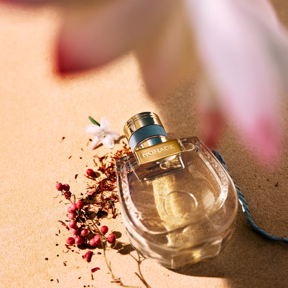 Chloé Nomade Lumière D&
