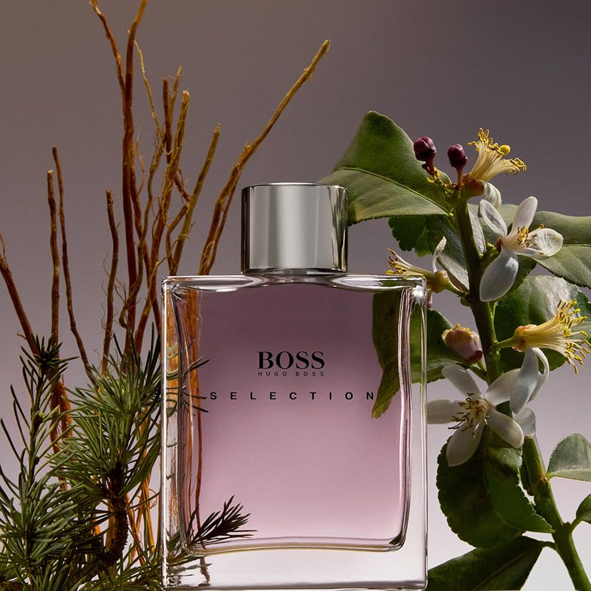 Hugo Boss Boss Selection EdT