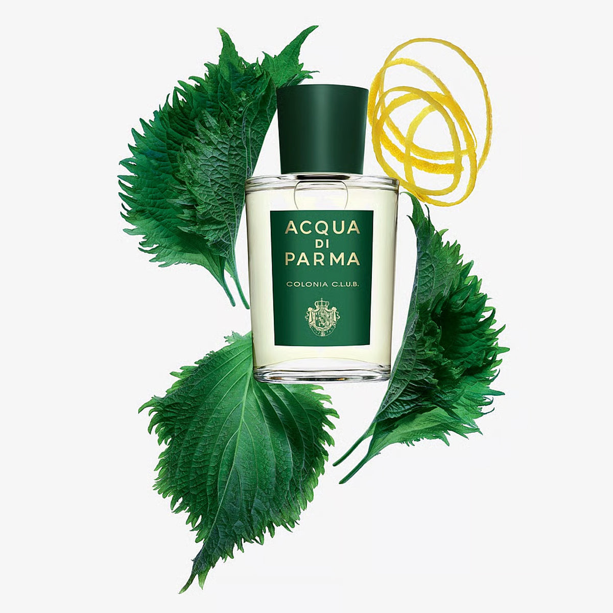 Acqua Di Parma Colonia C.L.U.B. EdC