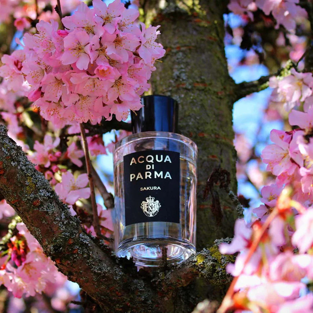 Acqua Di Parma Sakura EdP