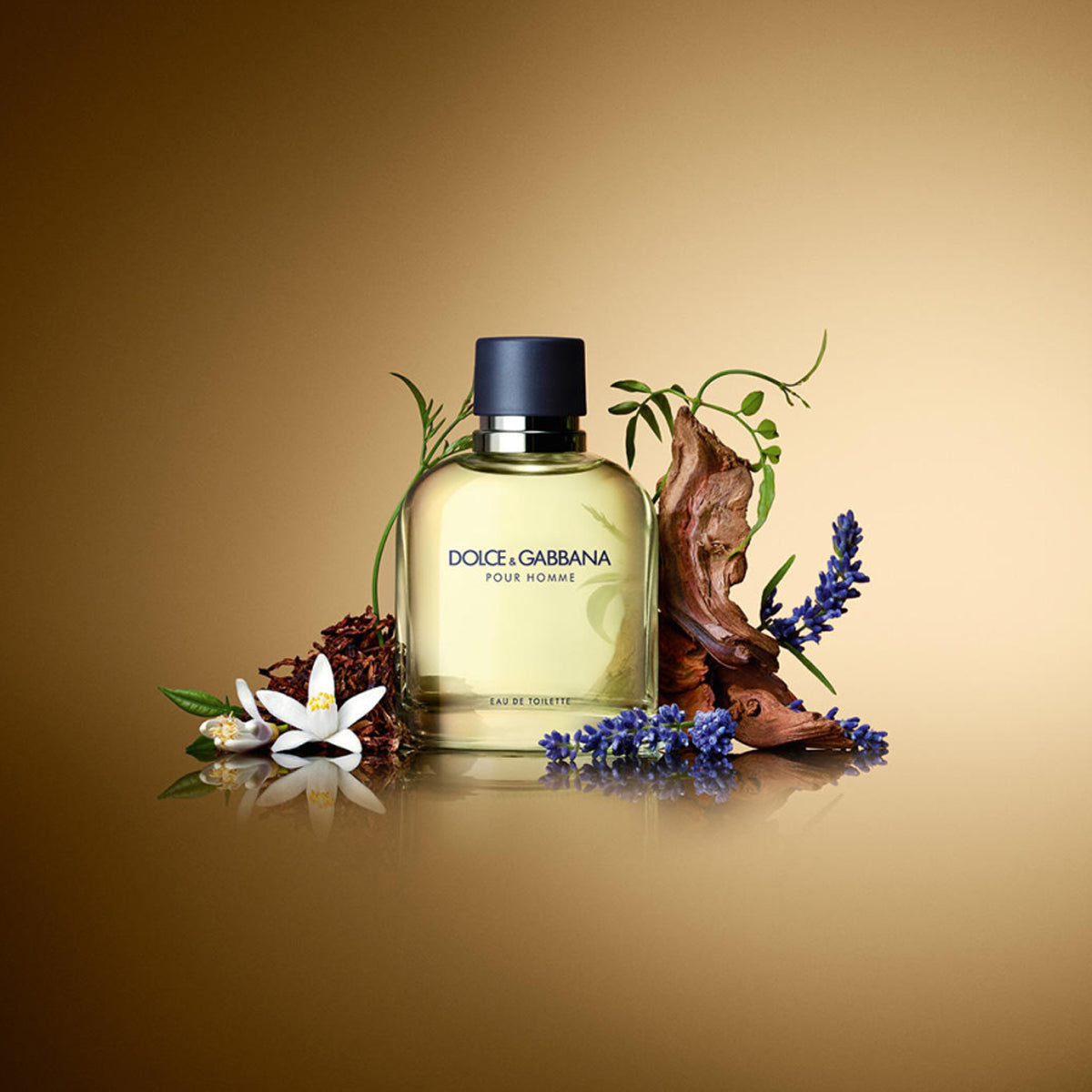 Dolce &amp; Gabbana Pour Homme EdT