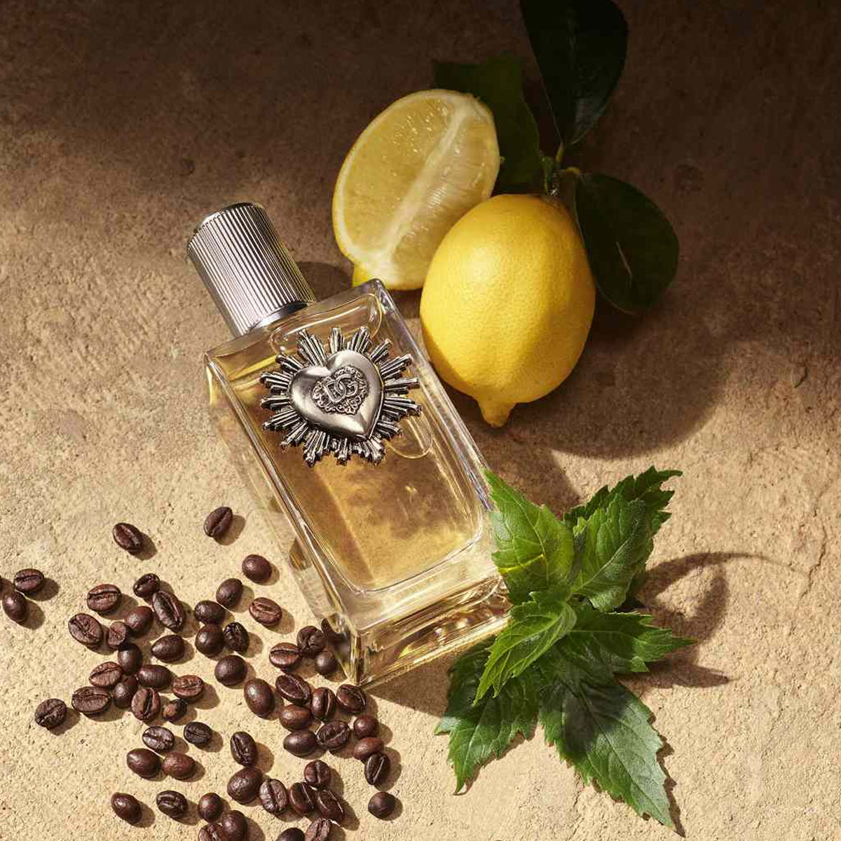 Dolce &amp; Gabbana Devotion Pour Homme EdP