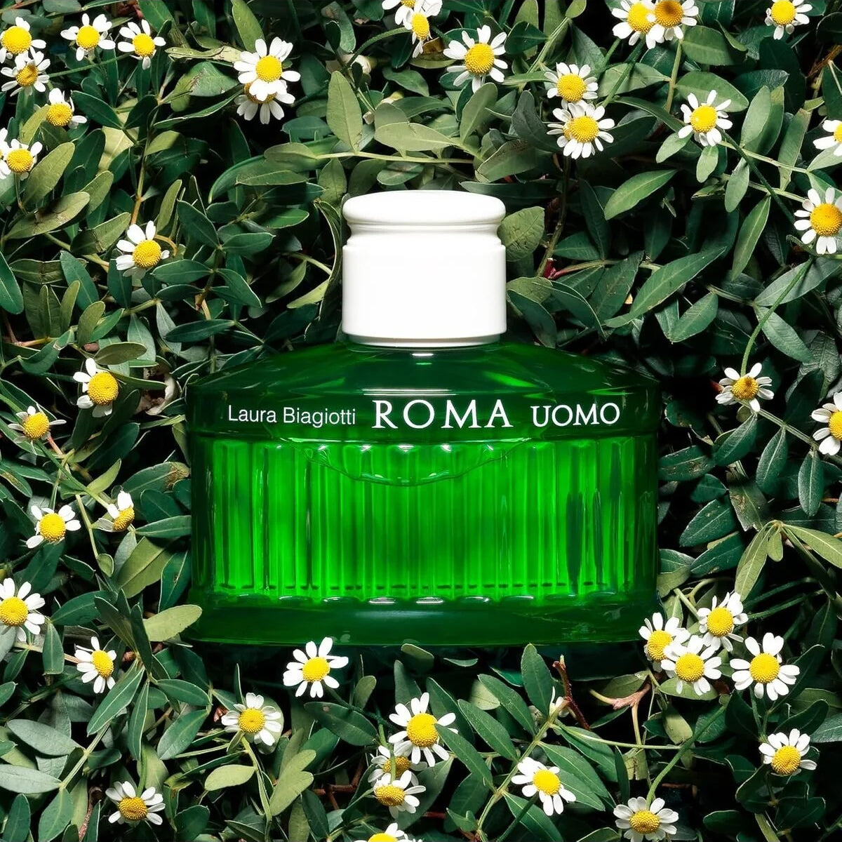 Laura Biagiotti Roma Uomo Green Swing EdT