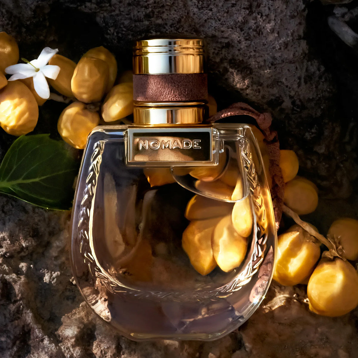 Chloé Nomade Jasmin Naturel Intense EdP